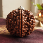 Panch Mukhi Rudraksha (5 Face)