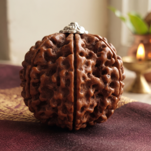 Panch Mukhi Rudraksha (5 Face)