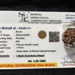 1 Mukhi Rudraksha Jabalpur