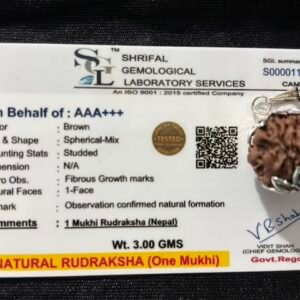 1 Mukhi Rudraksha Jabalpur
