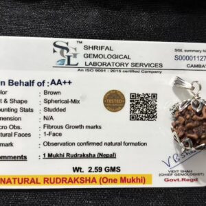 1 Mukhi Rudraksha Jabalpur