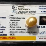 Original 7.31 CT Natural Golden Pearl Stone (Moti) | SGL Certified A++ Grade